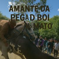 amantedapegadeboinomato