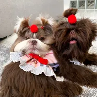 original sound - dogshihtzu.theo