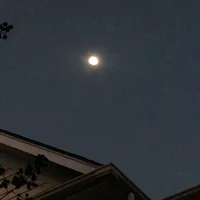 original sound - smiling.vc