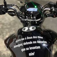 mt_grau01
