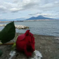 original sound - _ticidevoportare_