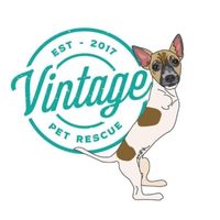 vintagepetrescue