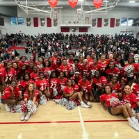 original sound - phsvikescheer