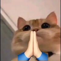 gaigabkai