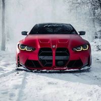 fani_bmw08
