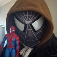 metalfacespider24