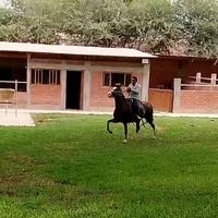 hermes_538