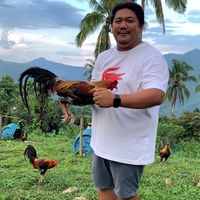 original sound - ©JM Birada Master💪