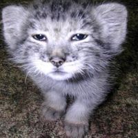 gunna ppower instrumental