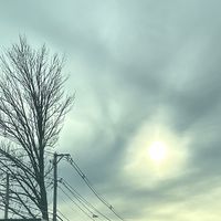 Omg so many ppl used this sound