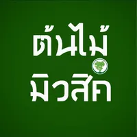 original sound - tonmaimusic2525