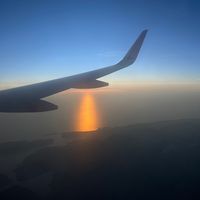 Leku shkon e vin jeta svje mo