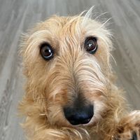 aki.fiapodemanga