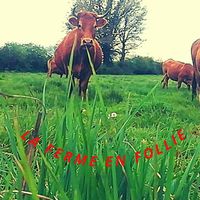 lafermeenfollie