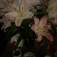 original sound - lovebug.xoxo