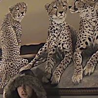 HAWT PPL USED MY SOUND