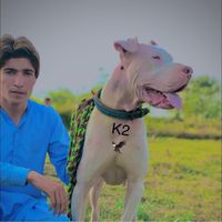 sadiq.134