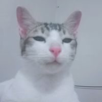 suara asli - KABAR BAIK🫰