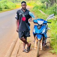 abass.bouzimie