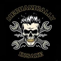 mechanicallyinsane