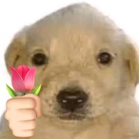 y0ngee_ee