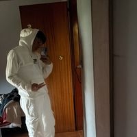 valentinopintor