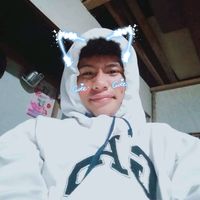 suara asli