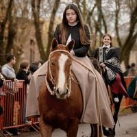 eveeboeroo