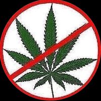 все хотят меня поцеловать