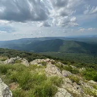 original sound - trendingdealsss