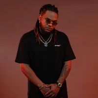 original sound - makacoelcerebro