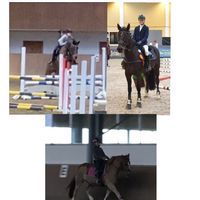 horse._.group_2020