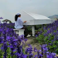 original sound - curly_041