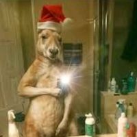 lobitoferoz_1729