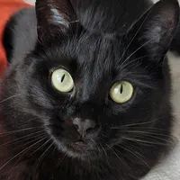 original sound - kratosrama