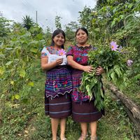 martinamadelivaahilon