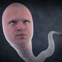 pumpkinguy64