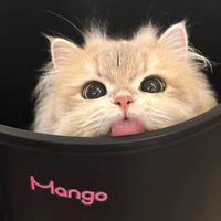 kamuuuii7