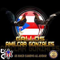 gallosamilcargonzalez4