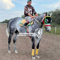 sonido original