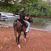 luiz_gustavo_dutra244