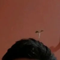 original sound - alejandro_pz16