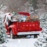 loving..christmasss