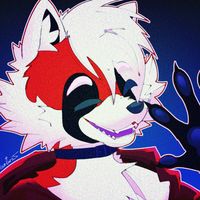 kai_the_raccoon