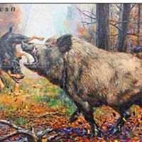 canil.boiadeiro.0944