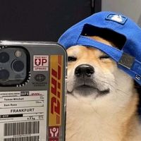 rooliitassm