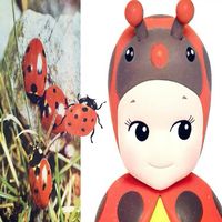 cammy123456789101112130