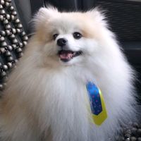 luckyluluspitz