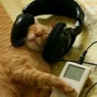 original sound - songsastra