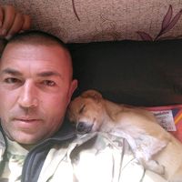 оригінальний звук
